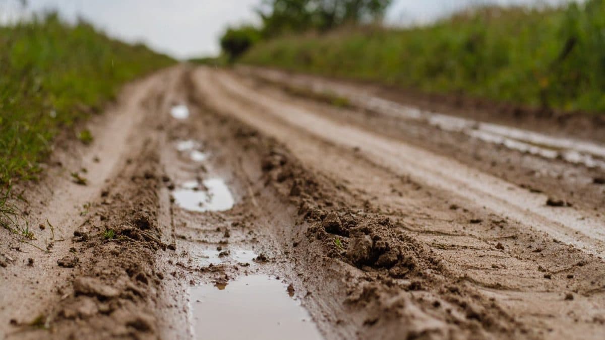 Corpo Carbonizado é Encontrado em Estrada Rural de Gaspar e Desencadeia Investigação Policial